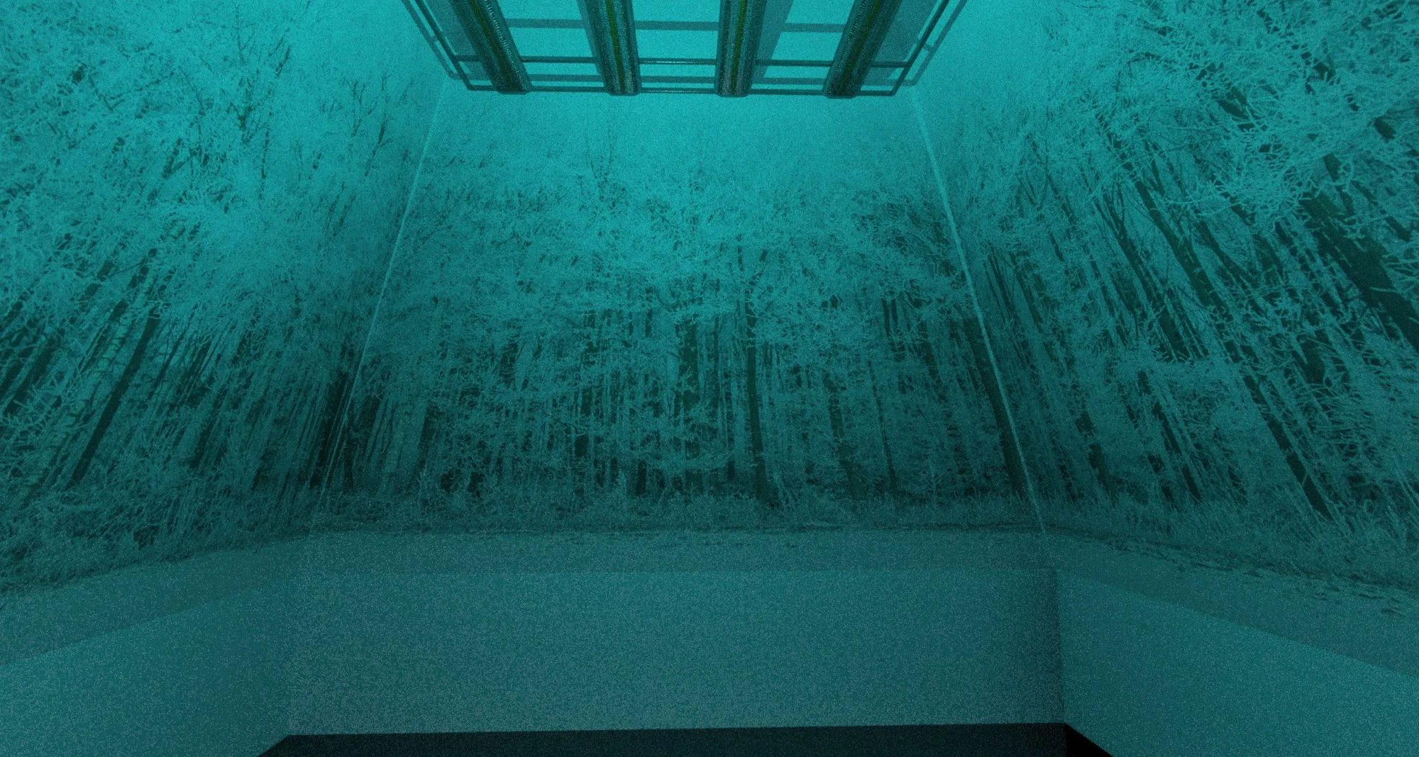 Boceto previo · interior, bosque helado