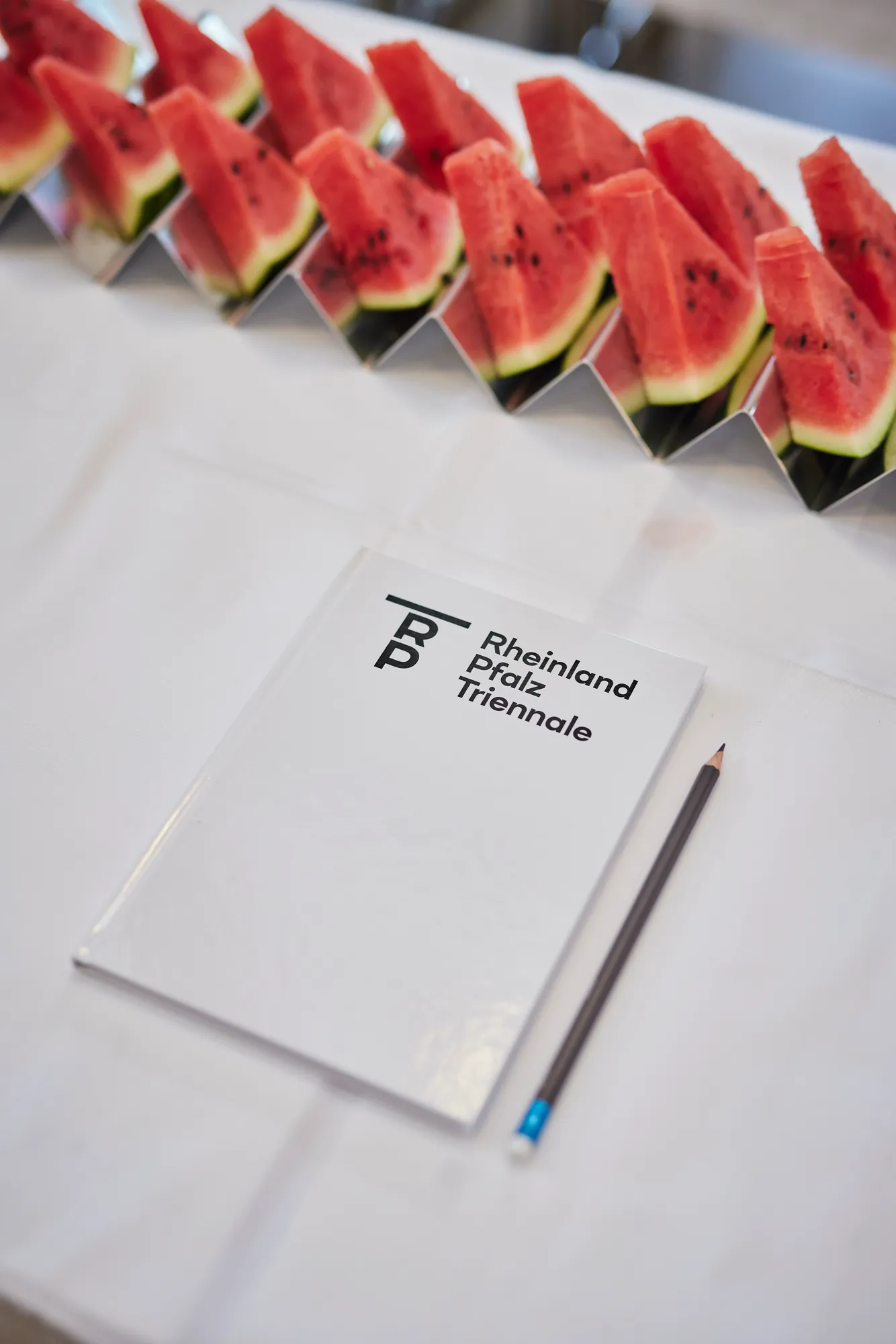 Rheinland-Pfalz Triennale 2026